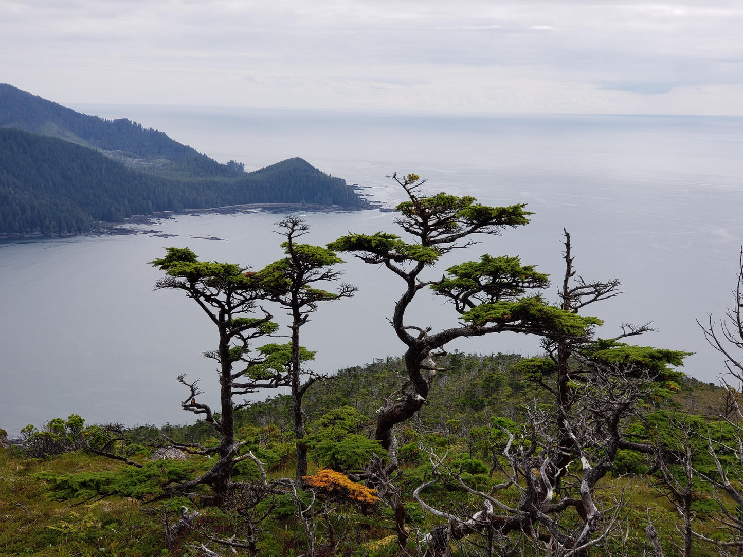 244 North Vancouver Island Kayaking and Boating Map