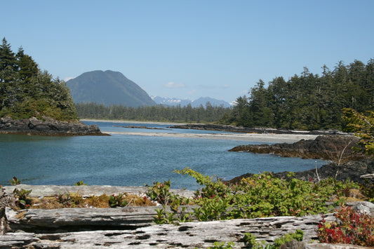 208 South Clayoquot Sound Kayaking and Boating Map
